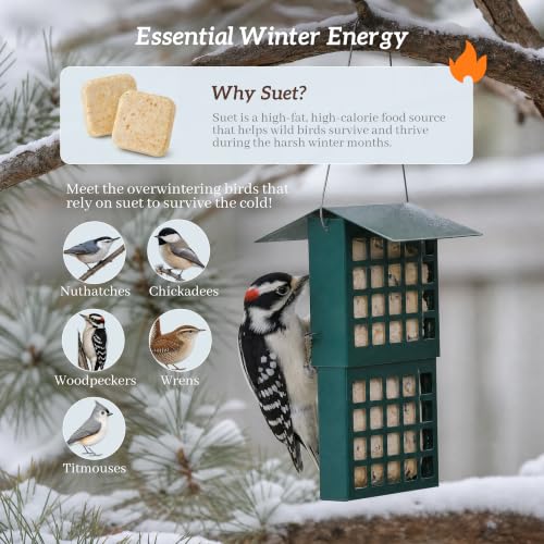 Solution4Patio Suet Bird Feeder for Outdoors, All Metal Bird Feeder for Wild Birds, Heavy Duty Galvanized Steel Hanging Feeder with Slide-Top Roof, Weather Resistant, Holds 2 Suet Cakes (Green) - color: Green
