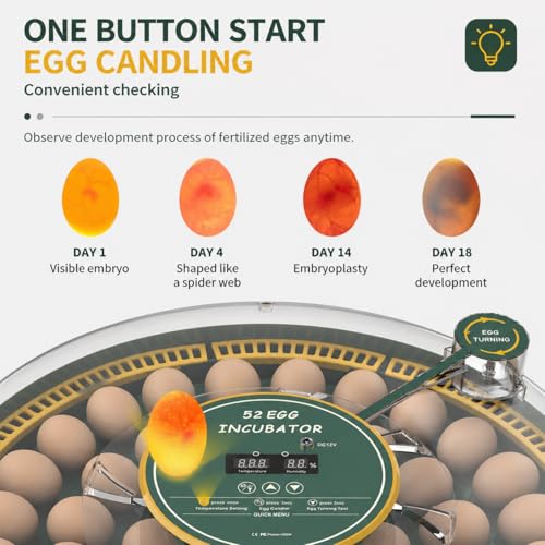 52 Egg Incubator with Automatic Egg Turning and Humidity Display, Incubators for Hatching Eggs, Chicken, Ducks, Goose, Pigeon, Quail, Parrot Incubator for Farm, Lab