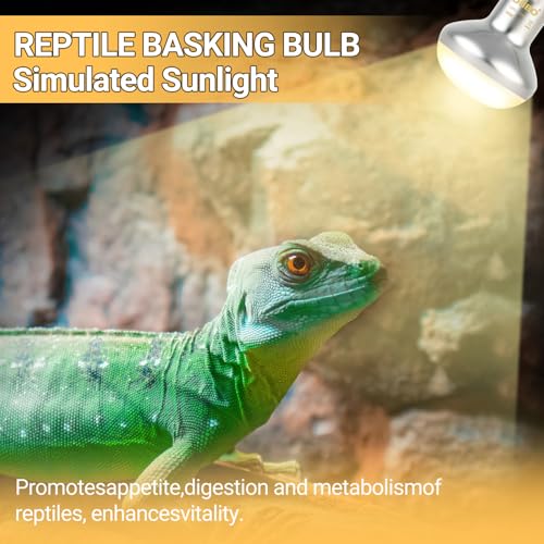 Reptile Heat Lamp Blub, 2Pack 75W Day & Night Reptile Heat Lamp,UVA Daylight Heat Basking Bulbs Infrared Heats Light Bulb for Reptiles Bearded Dragon Lizard Turtle