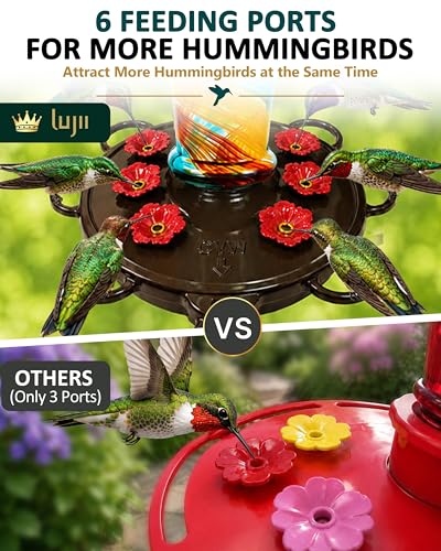 LUJII Smart Hummingbird Feeder with Camera for Outdoor Hanging, Hand Blown Glass, Solar WiFi Feeder with Live View App, 6 Feeding Ports, Leak-Resistant Design, Ant Moat & Gift Box, 36 fl oz, Ribbon - color: Ribbon, size: X-Large