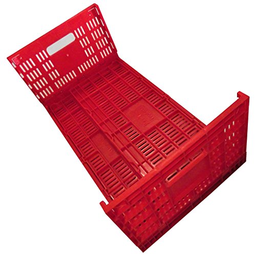 EGG TRAY CARTON TRANSPORT CRATE CHICKEN SHIPPING POULTRY CASE