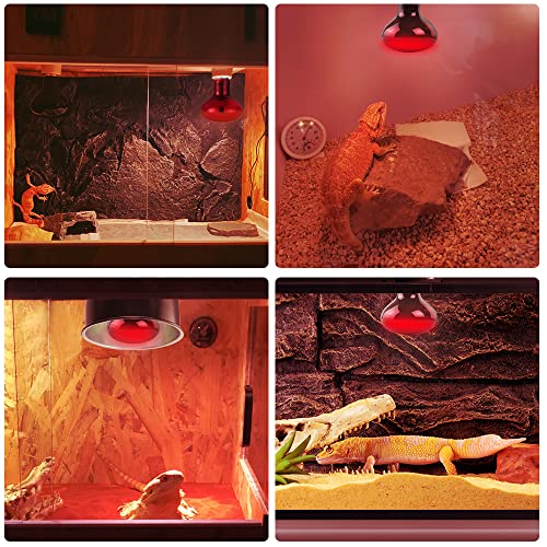 LUCKY HERP 50W Reptile Heat Lamp Bulbs 2 Pack, Reptiles & Amphibians Infrared Basking Spot Lamp, Heat Light Bulb for Turtle, Bearded Dragon, Lizard - color: Infrared Basking Light Bulb, size: 50 Watts