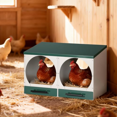 Chicken Nesting Box Roll Away Nest Boxes for Laying Hens 2 Compartments | Metal Nest Box for Chickens with Egg Collection Drawer & Lid Wall-Mounted Chicken Laying Boxes Perfect for Backyard and Farms