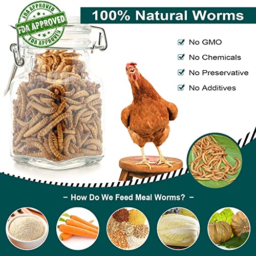 6LBs Non-GMO Dried Mealworms,High-Protein Larvae Treats Feed Molting Supplement for Birds Hens Ducks etc,Large Bulk Meal Worms Birds Chicken Food