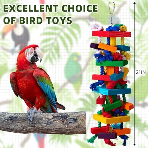 Soulchen 4 Pcs Extra Large Bird Parrot Toy Set Natural Wooden Chewing Toy, Rattan Ball, Wood Nut Loofah String (Bagged) for Large Medium Macaws, African Grey, Parrots (Colorful Ring) - style: Colorful Ring