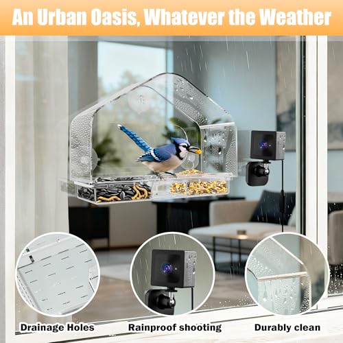 Window Bird Feeder with Strong Suction Cups & Smart Waterproof Bird Camera | 2K Clear Vision, AI Bird Recognition Tech, Real-Time Alerts, Easy to Use, Detachable Tray, 2.4G, USB Powered, for Home - color: Black