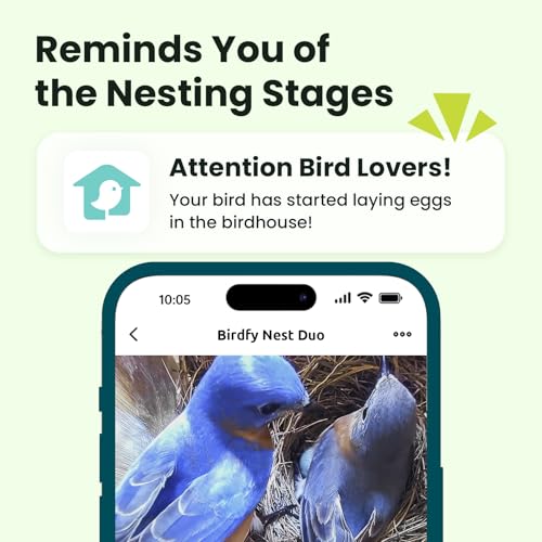 Smart Bird House with Dual 1080P Cameras, Lifetime Free AI Bird ID | Solar Powered, Remote Control, Bamboo Bird Nest for Garden & Bird Lovers, Watch Robin Nesting Story in Realtime, DIY Gift