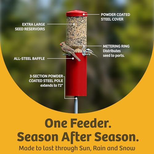 Birds Choice Classic Squirrel Proof Bird Feeder with Pole Mount | Tube Bird Feeder for Cardinals, Chickadees, Woodpeckers | Sturdy Steel for Long-Lasting Use | Backyard Bird Seed Dispenser | Green | Sturdy Steel Tube Seed Dispenser, for Cardinals, Chickad