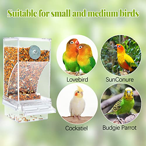 Rypet 2 Pack No-Mess Automatic Bird Feeder, Parakeet Cage Accessories | 16 oz Seed Capacity, Transparent Acrylic Food Level Check, Helps Reduce Seed Scatter, for Cockatiel Parrot Cockatoo Canary - color: Transparent-2 PCAK
