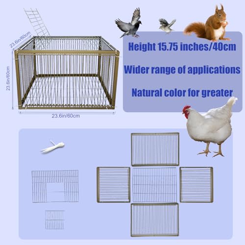 15" H Chicken Pigeon Trap Cage Birdcage Small Animal Trap Cage with Escape-Proof Design for Bird Turkey Duck Dove (23.6" L x 23.6" W x 15.7" H) - size: 23.6"L x 23.6"W x 15.8"H