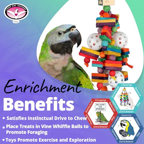 Super Bird Creations SB451 Wally's Wonder Bird Toy - Satisfy Chewing & Foraging Instincts for Ringnecks Medium Conures Parrots - Engaging Physical Exercises for your Birds - Ideal for Medium Bird Size