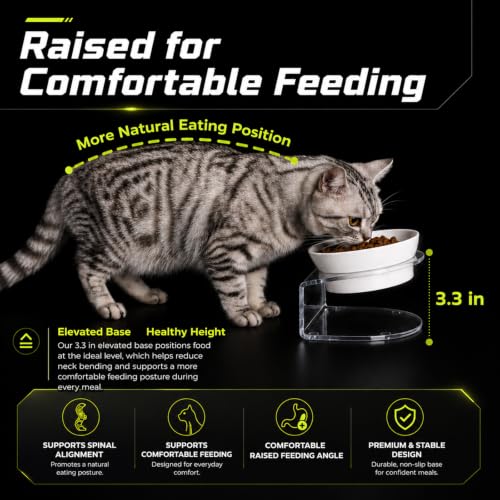 Elevated Cat Bowls, Tilted Melamine, White, 2 Pack | Two tilted melamine bowls support comfortable feeding for cats, kittens, flat-faced pets, and small dogs; white finish. - color: 20LBS-3Pack-White-1