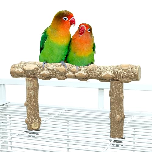 Bird Perch Stand,Natural Wood Cage Gym Toy Branch for Small Large Parrot | 100% Natural pepper wood, no chemical odor, non-slip grip, fits parakeets cockatiels conures African greys, easy install