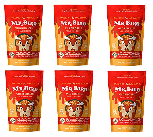 Mr. Bird Flaming Hot Feast Spicy Wild Bird Seed, 6-Pack, 2lb Resealable Bag | Spicy Bird Seed for Outside Feeders | Premium Blend of Mealworms, Peanuts, Hot Pepper | Keeps Squirrels Away | Loose Seed Bag - size: 2 Pound (Pack of 6)