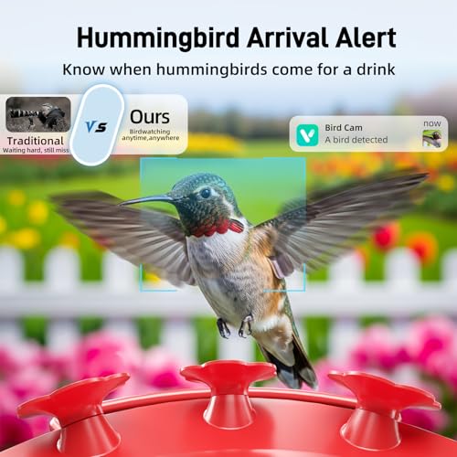 Hummingbird Feeder with Camera Outdoor, 5MP HD Smart Hummingbird Feeder Camera Solar Powered, AI Bird Identification, Ant Moat & Bee Proof, APP Alerts, Hanging or Pole Mount, Gift for Bird Lovers