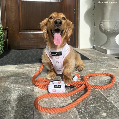 Spice Hands-Free Rope Leash - color: Pumpkin Spice Hands-Free Dog Leash