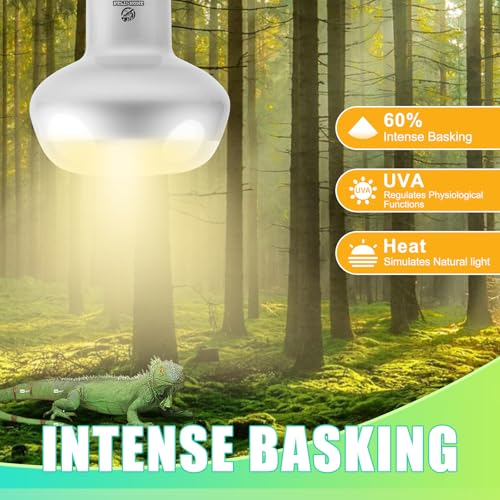 Reptile Heat Lamp 4Pack 100W, Intense Basking Spot Light Bulb with UVA, Simulate Natural Daylight Heat Bulb for Reptile, Turtle, Bearded Dragon, Lizard, Tortoise, Gecko, Snake - color: Intense Light, size: Intense 4*100