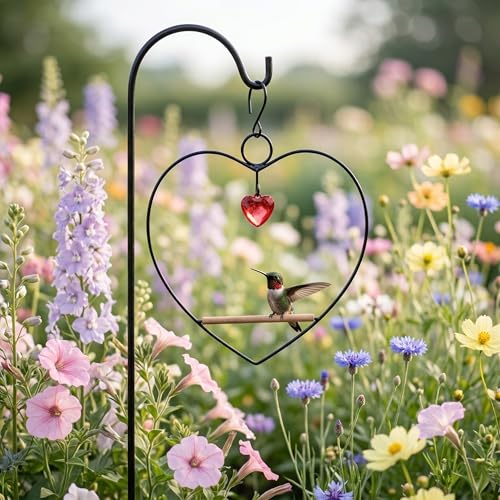 Tweet Heart Hummingbird Swing - Black - Wooden Dowel | Decorative Jewel Heart - Hummingbirds Guard Their Feeder - Black Metal Frame - color: Black