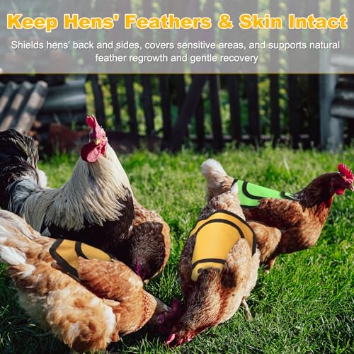 M METERXITY 4-Pack Chicken Saddle for Hens, 9.8 Inch Canvas Chicken Apron Back Protector with Adjustable Strap for Protecting Bird Back Feathers, Poultry Saver [Neon Green] - color: Neon Green