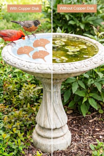 3-Pack Bird Bath Copper Disk, 99.9% 0.6mm Thick Pure Copper Bird Bath Disc | beautiful leaf design, high-quality copper material,get 3 pieces with one purchase