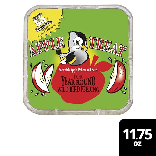 C&S Apple Suet Treat, Suet Cakes for Wild Birds, Pack of 8 | Suet cakes for woodpeckers, made with real apples, use in a suet feeder year-round - style: Apple, 8 Pack