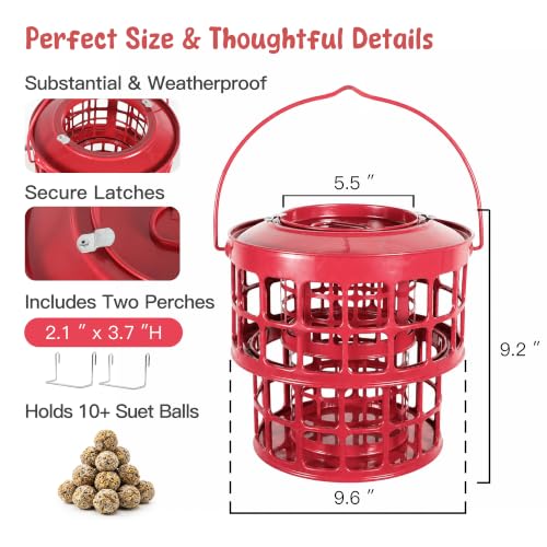 KOL All-Metal Suet Bird Feeder, Heavy-Duty Double-Layer Suet Ball Feeder for Wild Birds, 360° Feeding with Drainage Tray, Ideal for Suet Balls and Seed Cakes (Red) - color: Red