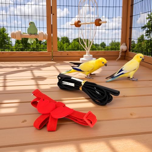 Pet Bird Harness Leash, Lightweight Bird Flying Harness Anti Bite Bird Harness Leash for Parrots Pigeons Lovebird Red - size: S