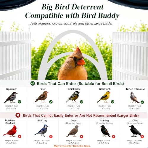 Double Arc Anti Perch Fence Compatible with Bird Buddy Feeder, White Large Bird Perch Barrier & Shield Accessories, Keep Feeding Area Clear for Small Birds