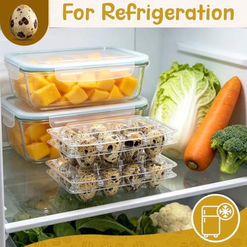 100 Pack Quail Egg Cartons, 12 Count Clear Egg Trays with Lids | Small Egg Storage Holders, Plastic Bulk Egg Boxes for Quail, Pheasant, Pigeon Refrigerator Storage and Display