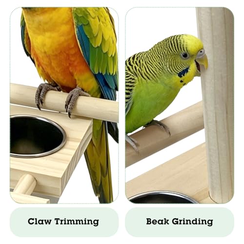 Tfwadmx Bird Perch with Stainless Steel Feeding Bowl Cups Parrot Wood Perch Stand Toy Hanging Feeder for Conures Cockatiels Budgie Lovebird