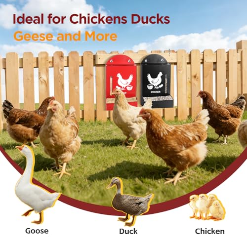 2 Pack Chicken Grit and Oyster Shell Feeder, Metal Oyster Shell Feeder with Visual Window and Lid, Hanging Gravity Chicken Grit Feeder, Chicken Coop Accessories for Healthier Hens and Eggs