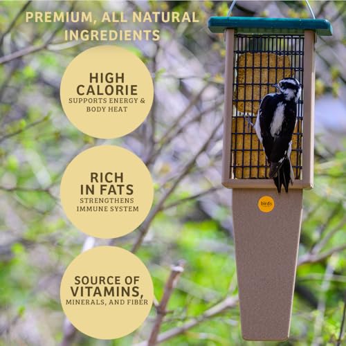 Birds Choice Peanut Butter No Melt Suet Cake | Rendered Beef Suet, Oats, Roasted Peanuts, Sunflower Oil, Corn | Premium Wild Bird Food for Year-Round Backyard Feeding | 11 oz (12-Pack) | Rendered Beef Suet with Oats, Roasted Peanuts, Sunflower Oil and Cor