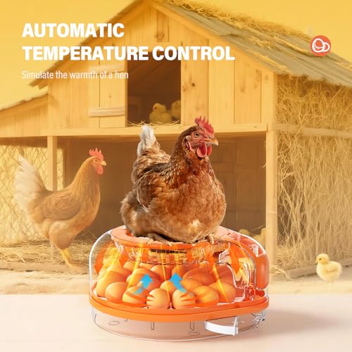 26 Incubators for Hatching Eggs Smart Voice Control Incubator with Auto Temp Humidity Automatic Egg Turning 360° View Built in Egg Candler and Chick Holding Area for Chicken Duck Goose Quail Eggs