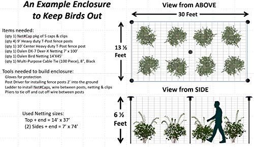Bird Netting Post caps Madbird (5 Pack) for Bird-X, Birdbgone, Birdblock for Protecting Chickens, Blueberries. Strawberries, Fruit Trees, Grapes, Vegetable Gardens