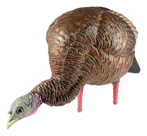 Avian-X LCD Feeder Hen Turkey Decoy with X-Factor Motion System – Realistic Lifelike Collapsible Standing Turkey, Durable Design, Carry Bag & Collapsible Stake for Hunting - style: HDR Feeding Hen