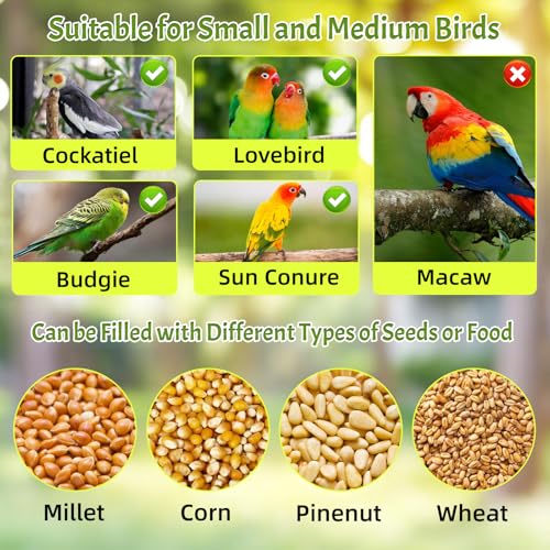 Rypet No-Mess Automatic Bird Feeder for Cage, Parrot Cage Accessories | Transparent Acrylic Food Dispenser, Helps Reduce Seed Scatter, for Parakeet Cockatiel Parrot Canary - color: Transparent A80 Green