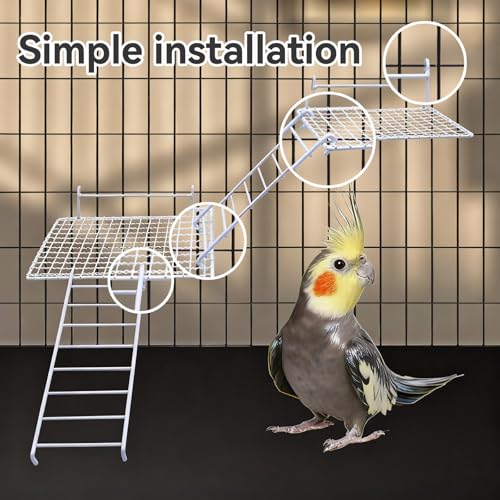 4 Pack Stainless Steel Bird Standing Platform with Cleaning Brush Set, Bird Perches for Cage, Cage Accessories for Budgies, Cockatiels, Lovebirds, Green Cheeks, Small to Medium Birds
