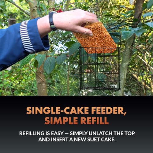 Newhouse Pet Single Cake Suet Basket Bird Feeder NHP-Suet-BLK, Small Hanging Bird Feeder for Outdoors, Suet Cake Holder for Jays, Woodpeckers, Chickadees, Wrens, and Other Birds - style: Suet Feeder
