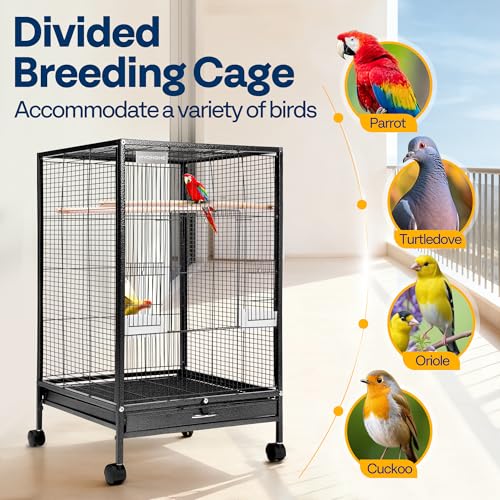 VIVOHOME Wrought Iron Bird Cage with Rolling Stand, 30 Inch Height | Standing Bird Flight Cage with Casters, Slide-out Tray for Parakeets Cockatiels Lovebirds Canaries Finches Conures, Black - color: Black