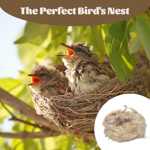 Bird Nesting Material,1.4 oz/40 g,for Hummingbird Finch | Natural Blend Parakeet Nesting Material,for Canaries,Parrots,Wild Birds