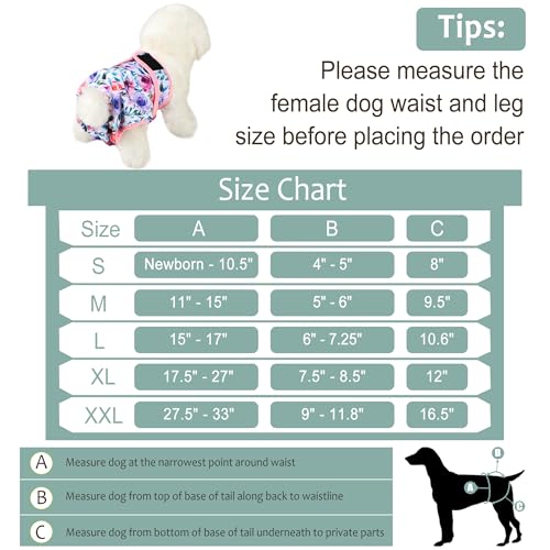 Dog Diapers Female - Reusable Diapers for Doggie in Heat - Highly Absorbent for Pet Incontinence with Snaps (Pack of 3) Rose, S - color: 3pcs rose flowers pattern, size: Small（New Born-11.5“Waist）