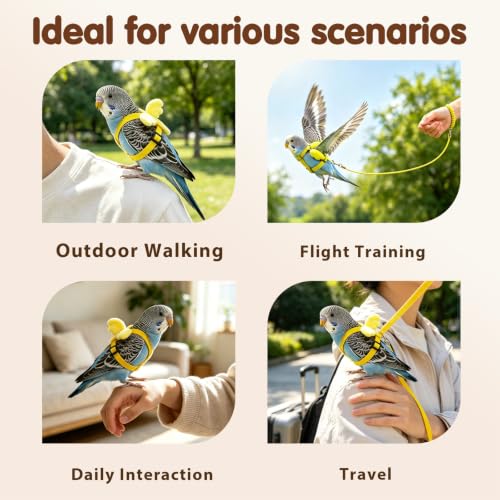 Pet Parrot Bird Harness and Leash, 2m Adjustable Polyester Rope with Cute Wing, Bird Flying Harness for Parrots, Pigeons, Budgerigars, Lovebirds, Cockatiels Outdoor Use - color: Yellow, size: L