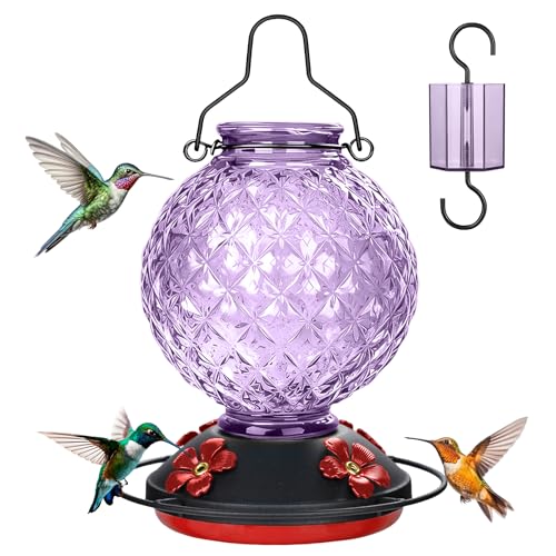 25 OZ Glass Hummingbird Feeder for Outdoors, Leak Proof Hummingbird Feeder with Ant Moat, 4 Bee Resistant Feeding Ports, Easy Clean Wide Mouth Design, Hanging Nectar Feeder, Purple - color: Purple - 25oz