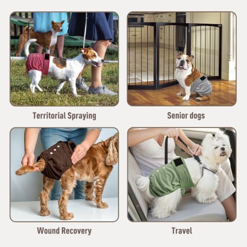 Washable Reusable Female Dog Diapers(5 Pack) Small Medium Large Doggie Puppy & Doggy Dog Diaper, Period Panties in Heat Medium Gray-Brown - color: Black Gray Burgundy Brown Green, size: Medium
