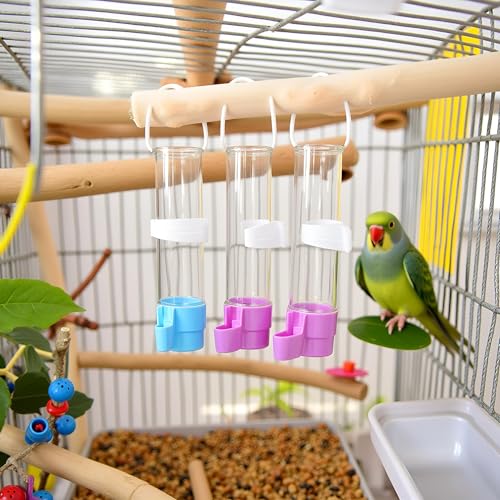 1Pc Parakeet Water Dispenser Hanging Plastic Automatic Feeder for Cage No Spill Food Container for Small Medium Birds Parrot Toys African Grey for Small Parrots Conure Macaw Parrot Toys(Random Color)