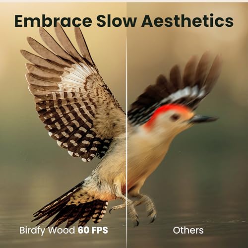 Smart Bird Feeder with Camera Solar Powered, Slow-Motion Video & Night Insight, AI Identify 6000+ Species Lifetime Free, Ideal for Outdoors Bird Watching & Gifts for BirdLovers, Wood | Fir Wood, No Subscription, Live Stream, Night Insight, 1080P, AI Bird