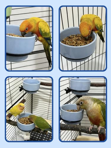 2 Pcs Bird Food Bowl Ceramic Bowls for Birds Small Parakeet Food Bowl Parrot Feeding Cups, Bird Cage Feeder for Parakeets Conure Cockatiels Lovebird Budgie (Blue)