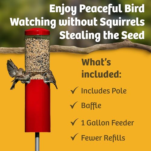 Birds Choice Classic Squirrel Proof Bird Feeder with Pole Mount | Tube Bird Feeder for Cardinals, Chickadees, Woodpeckers | Sturdy Steel for Long-Lasting Use | Backyard Bird Seed Dispenser | Green | Sturdy Steel Tube Seed Dispenser, for Cardinals, Chickad