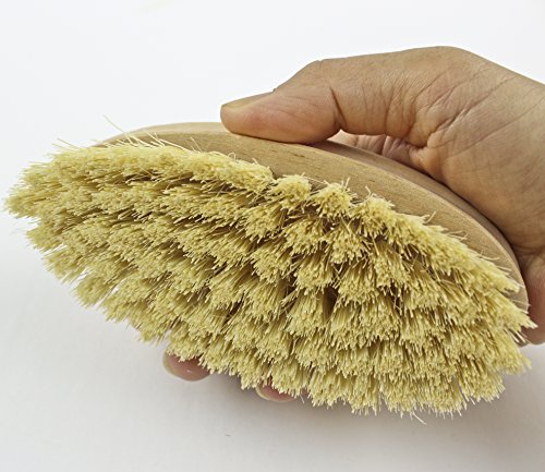Zoie + Chloe 100% Natural Plant-Fiber Soft Bristles Vegetable Brush - size: Large 5.5 INCH