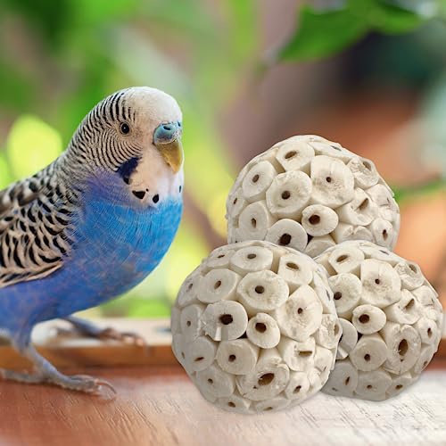 by M&M 5100 Small Sola Bird Balls Pk2 - Handmade Natural Sola Wood Balls, Foraging Fun, Lightweight, Effortless to Chew and Shred, Superb Bird Foot Toys for Small to Med Size Birds - color: Small Sola Balls, size: Pack 2